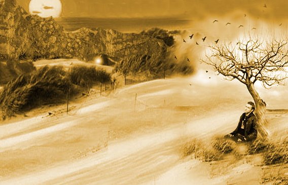 [get-7-2008-xi3aum05.jpg]