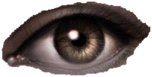 [oeil.gif]