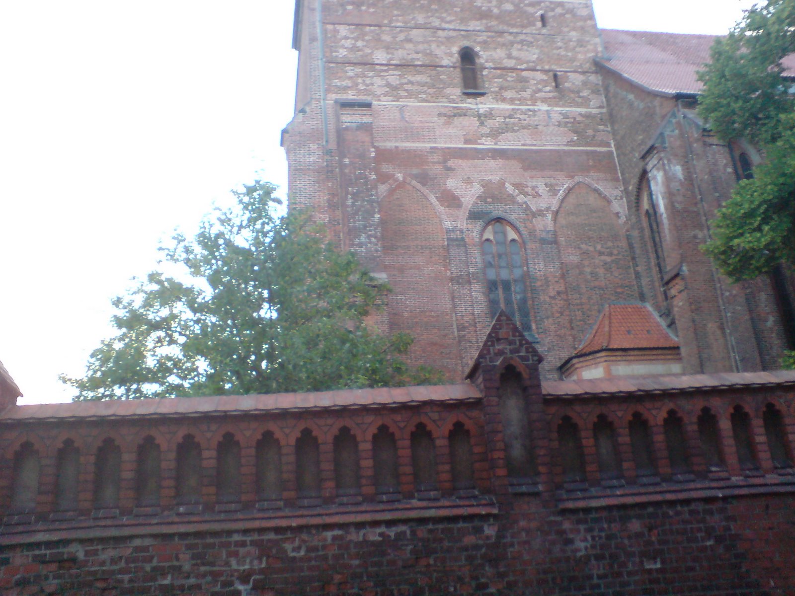 [DSC00308.JPG]