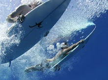 duckdive