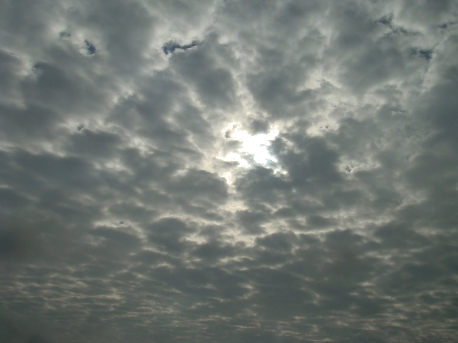 [DSC01791.JPG]