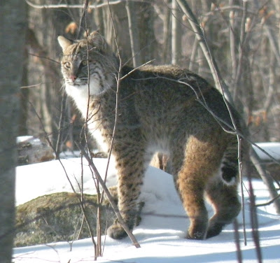New Milford