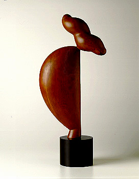Brancusi Constantin