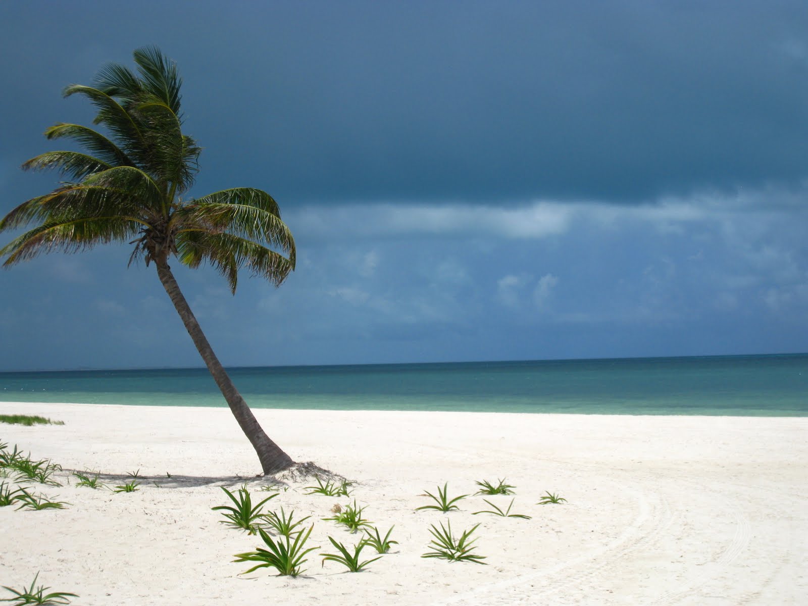 Playa Mujeres Mexico