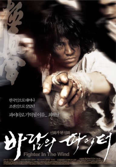 korean fighter