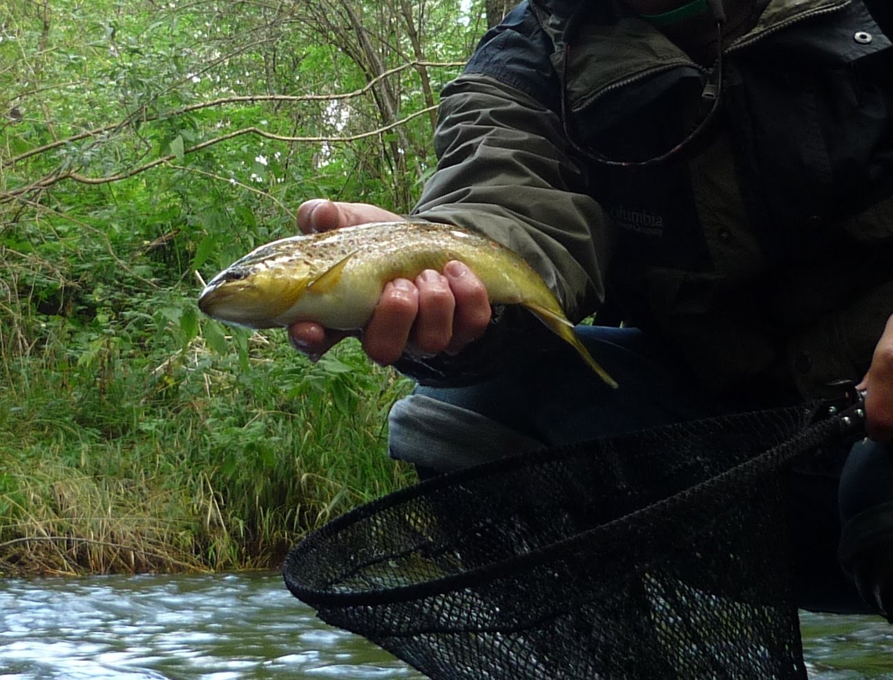 Peter's FlyFishing Adventures Fly fishing in Germany, Part 9 The