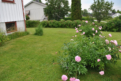 ferie alene Egersund ferie alene Egersund