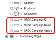 [SFDCCampaign_FormFieldsx.jpg]
