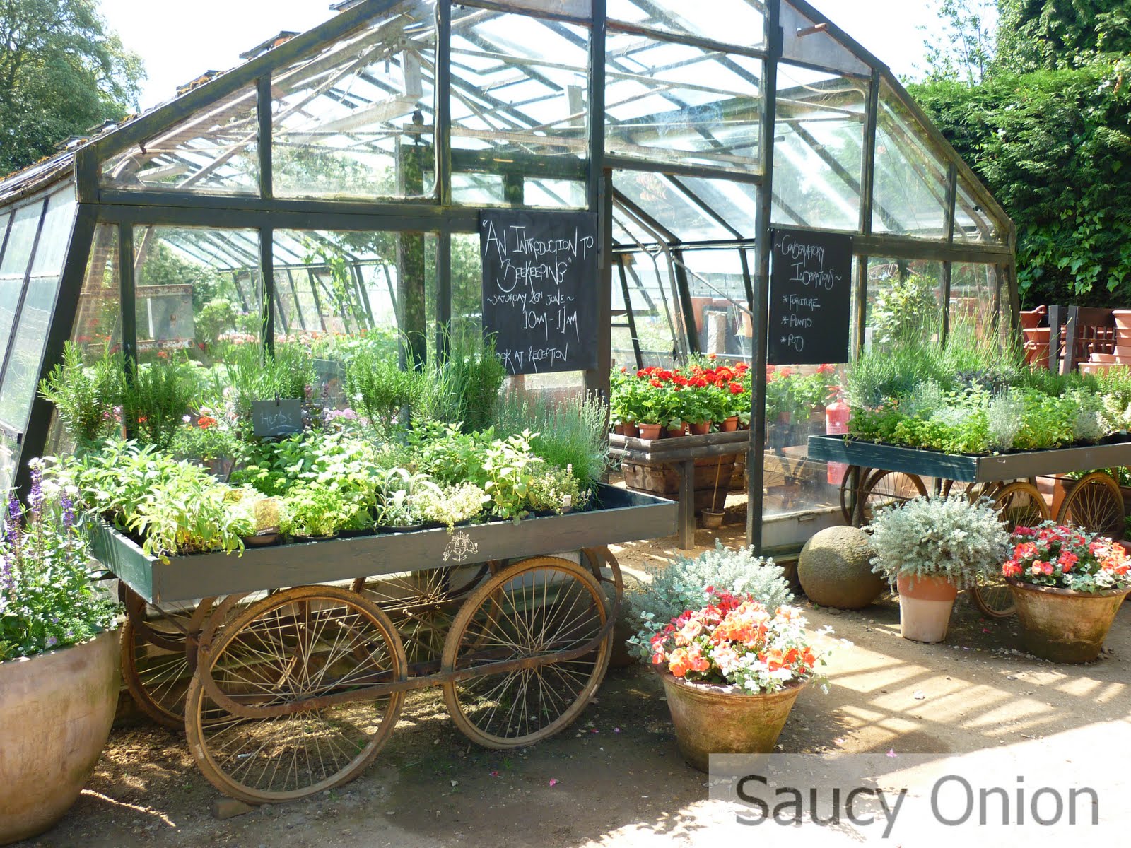 Saucy Onion Petersham Nurseries/Restaurant, London