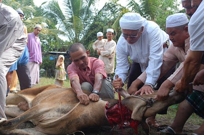 http://1.bp.blogspot.com/_QWK5fkj2p3Y/TOTtrmkIPlI/AAAAAAAAA_g/5vqSaQGHIzg/s1600/Korban7.jpg