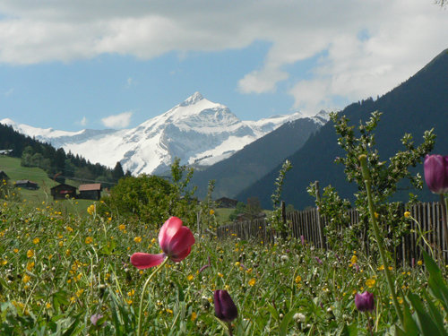 The Swiss Life of a Bulgarian born Canadian Mom