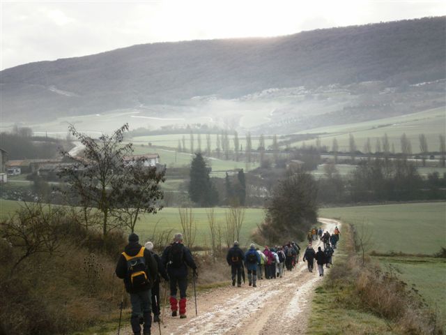 [P1130007.JPG]