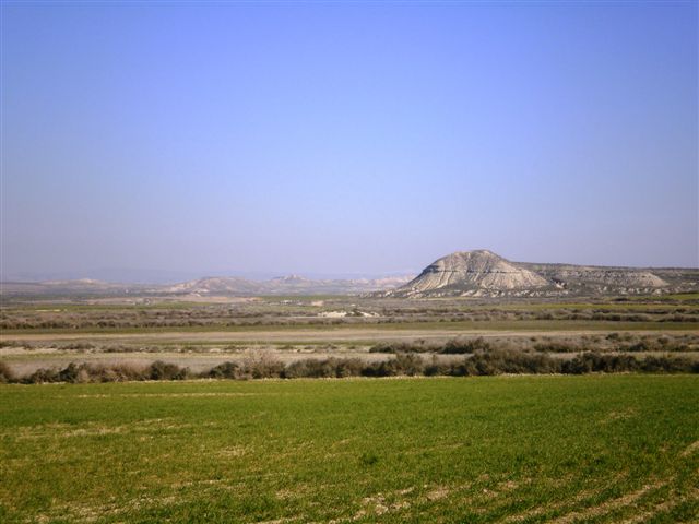 [P2030127.JPG]