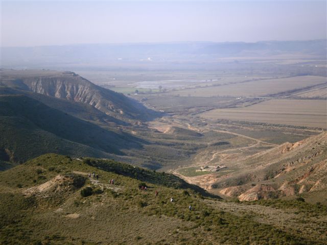 [P2030109.JPG]
