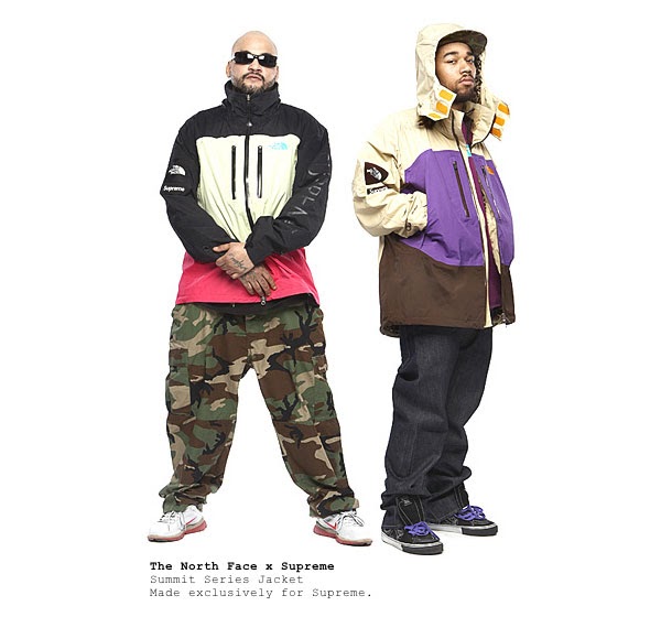 supreme north face summit