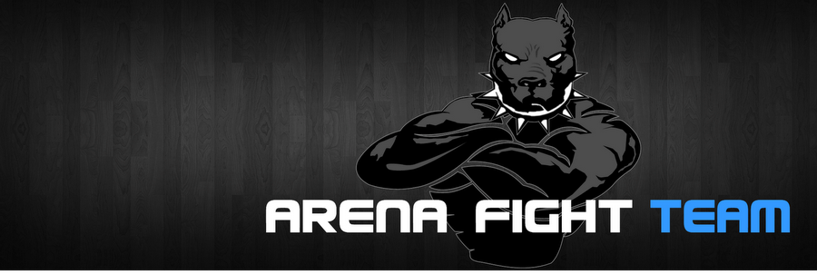 Arena Fight Team