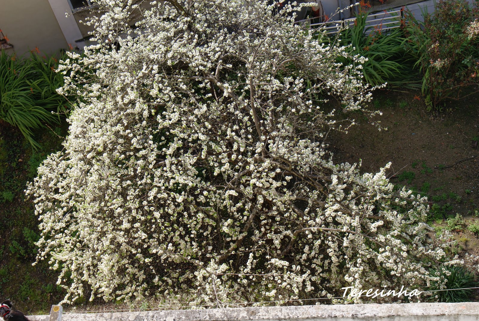 [DSC01060.JPG]