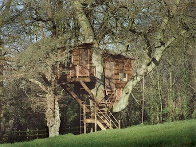 Ağaç ev tasarımları Awesome+Amazon+Tree+Houses+6