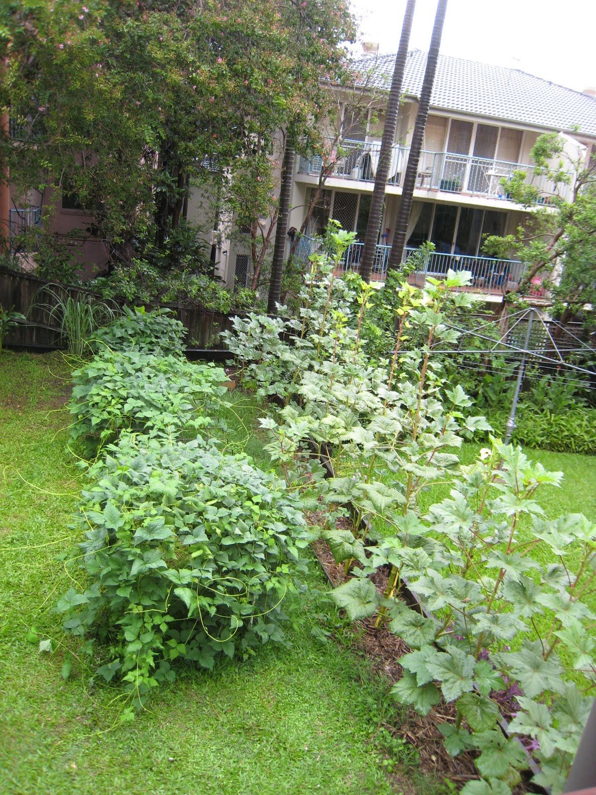 [IMG_2235.JPG]