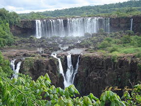 Música y Naturaleza