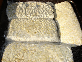 What Is Tempeh A Singaporean Uncle In Australia