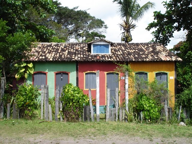 [DSC00531.JPG]