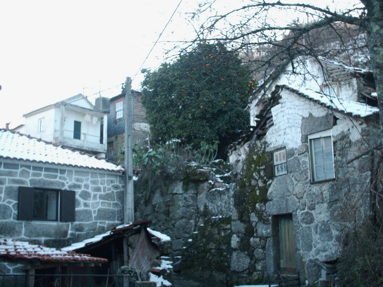 [HPIM4115.JPG]