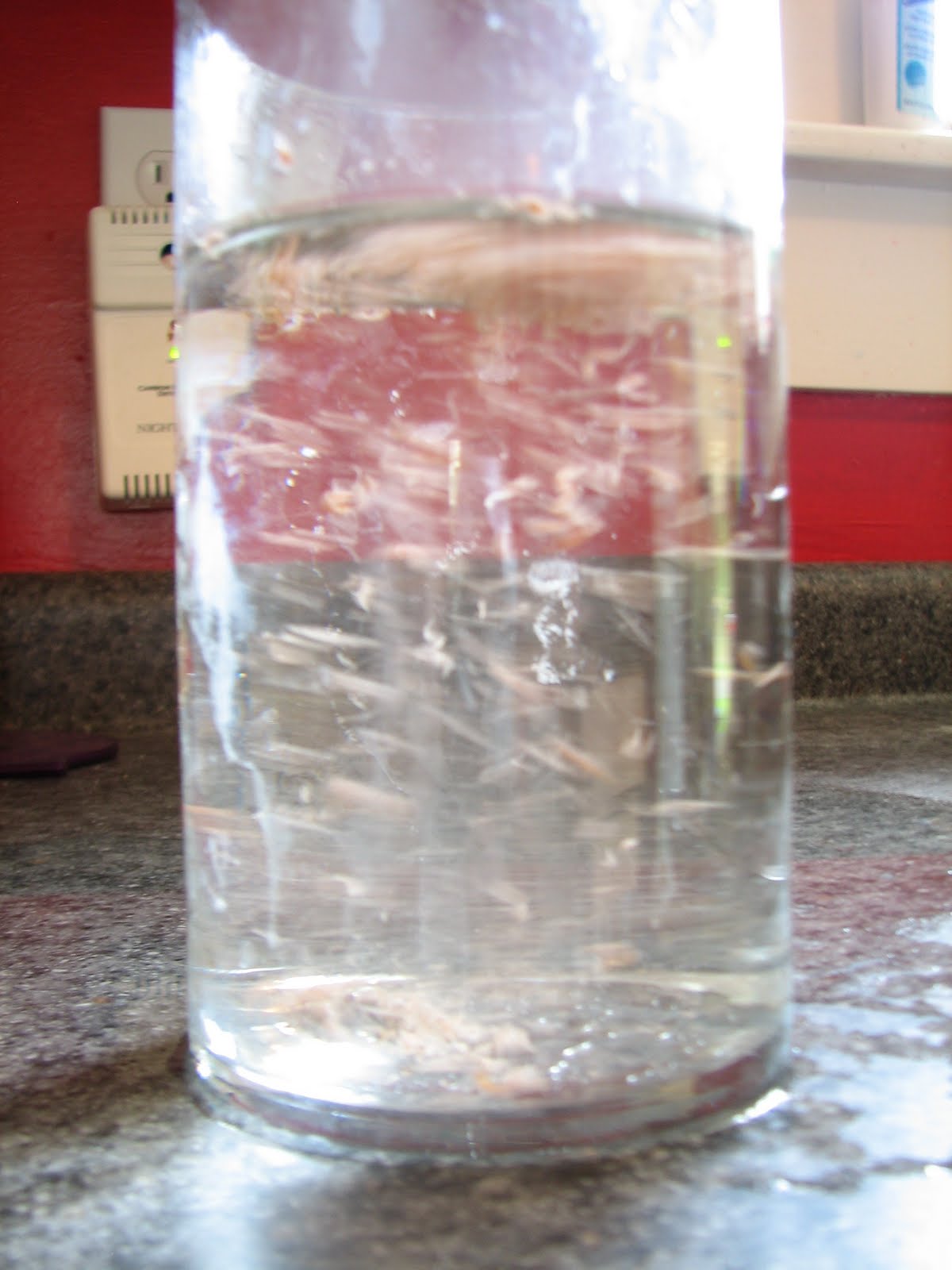 Science Matters Convection Shavings in Boiling Water