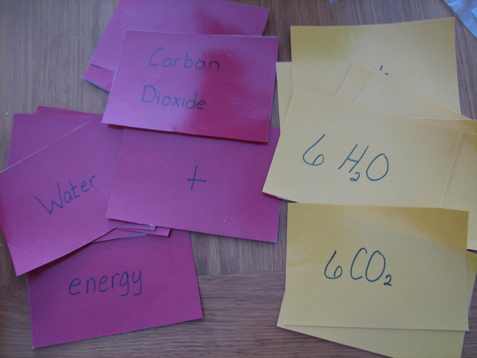 [20100111_2954.JPG]