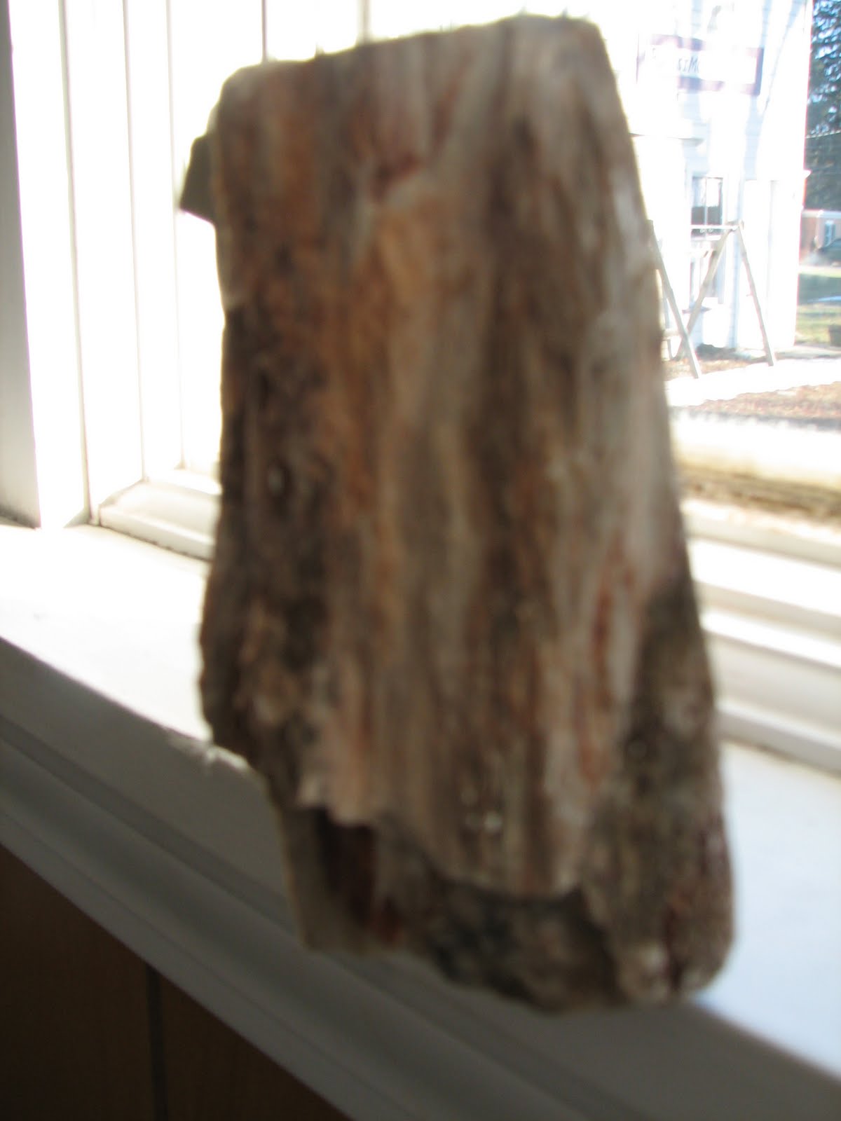 [20100201_3083.JPG]