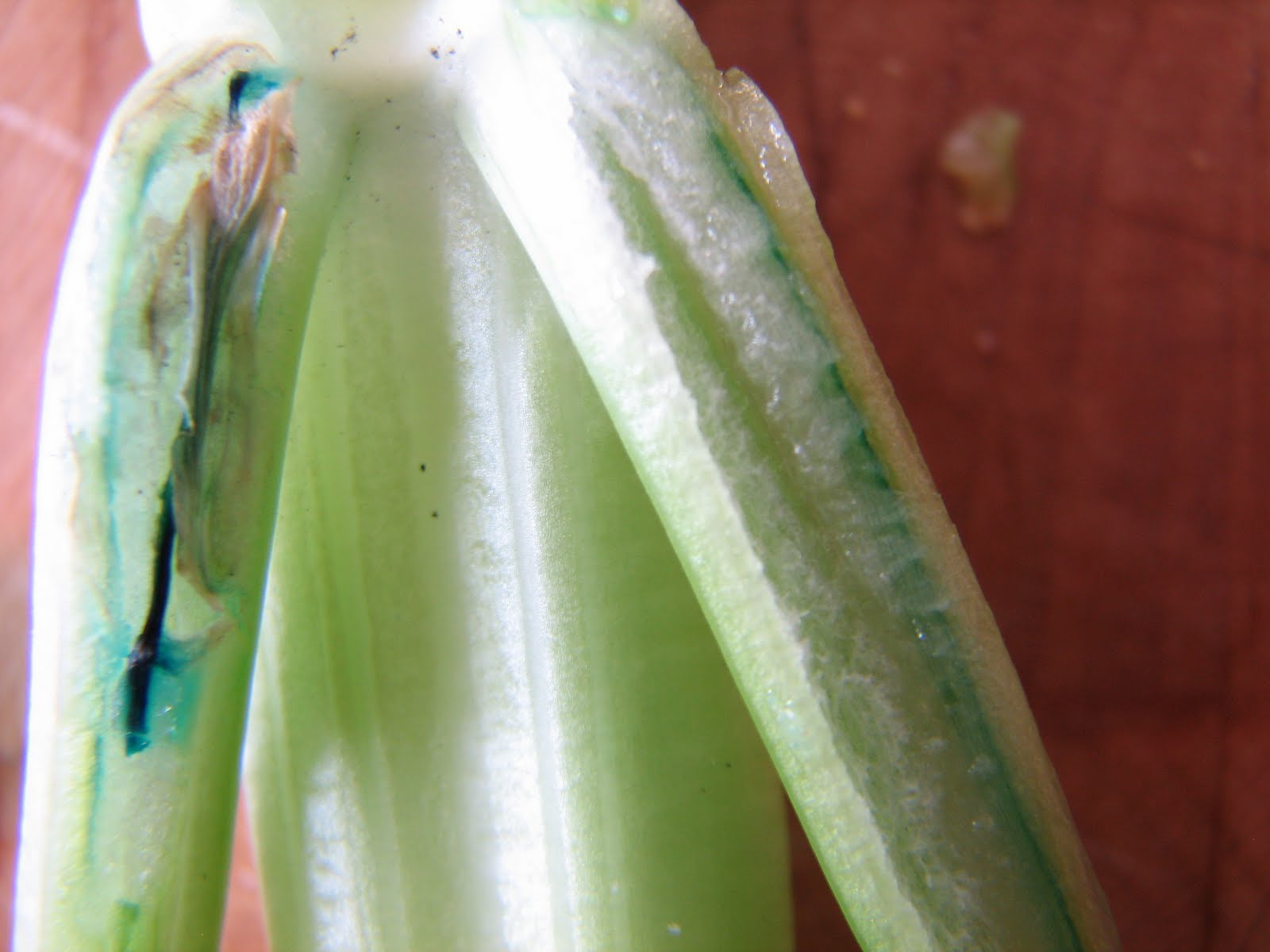 [20100206_3102.JPG]