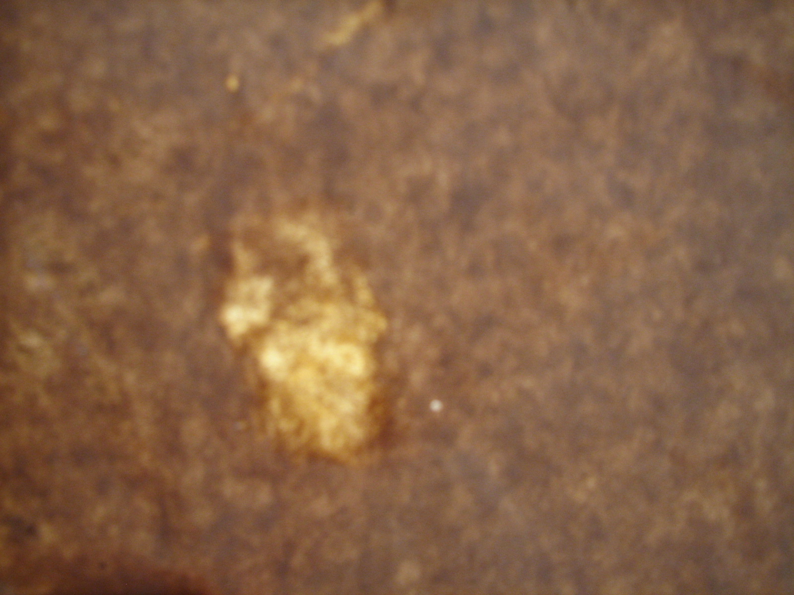 [20100209_3109.JPG]