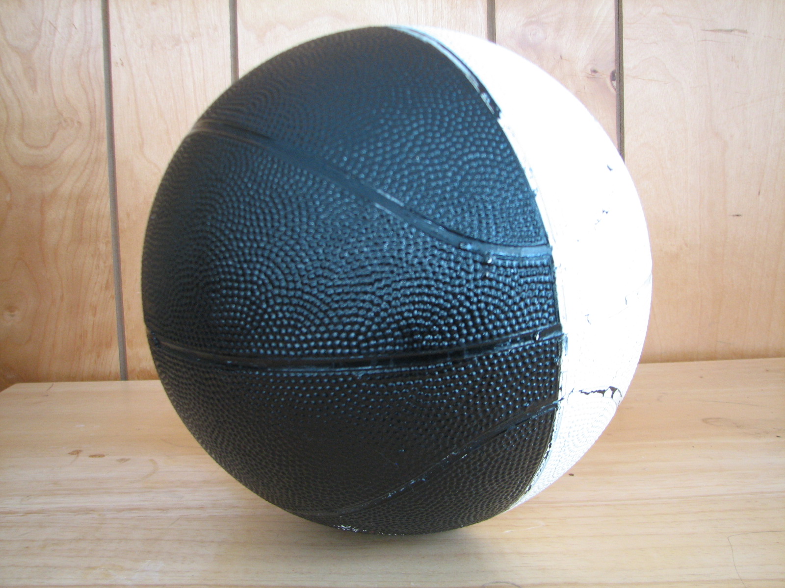 [20100227_3222.JPG]