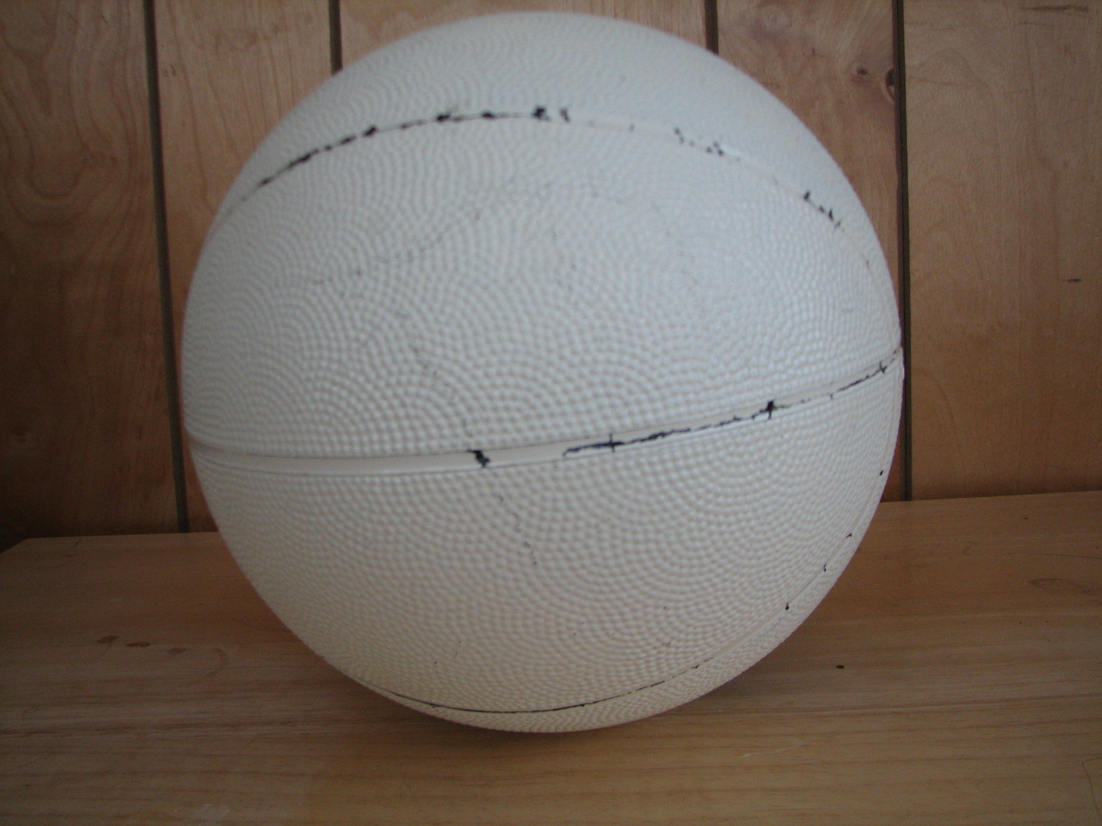 [20100227_3220.JPG]