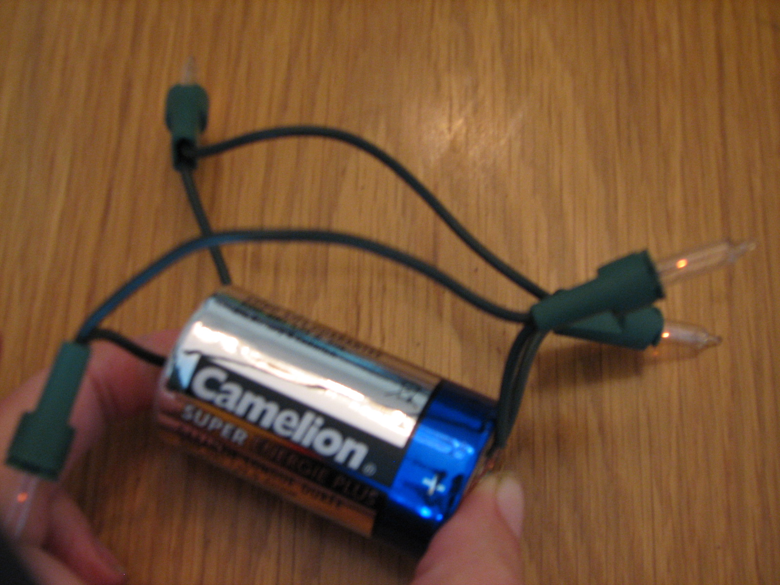 Science Matters Electricity Christmas Light Circuits