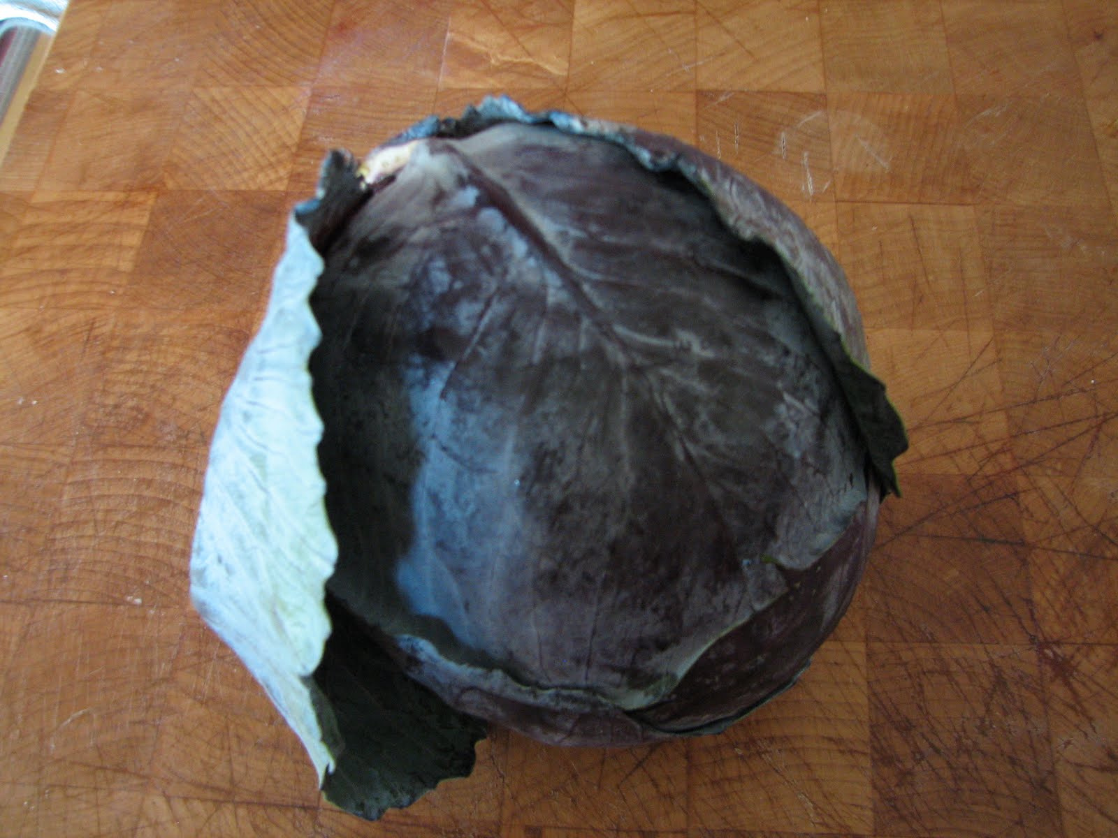 Science Matters Cabbage Juice Indicator