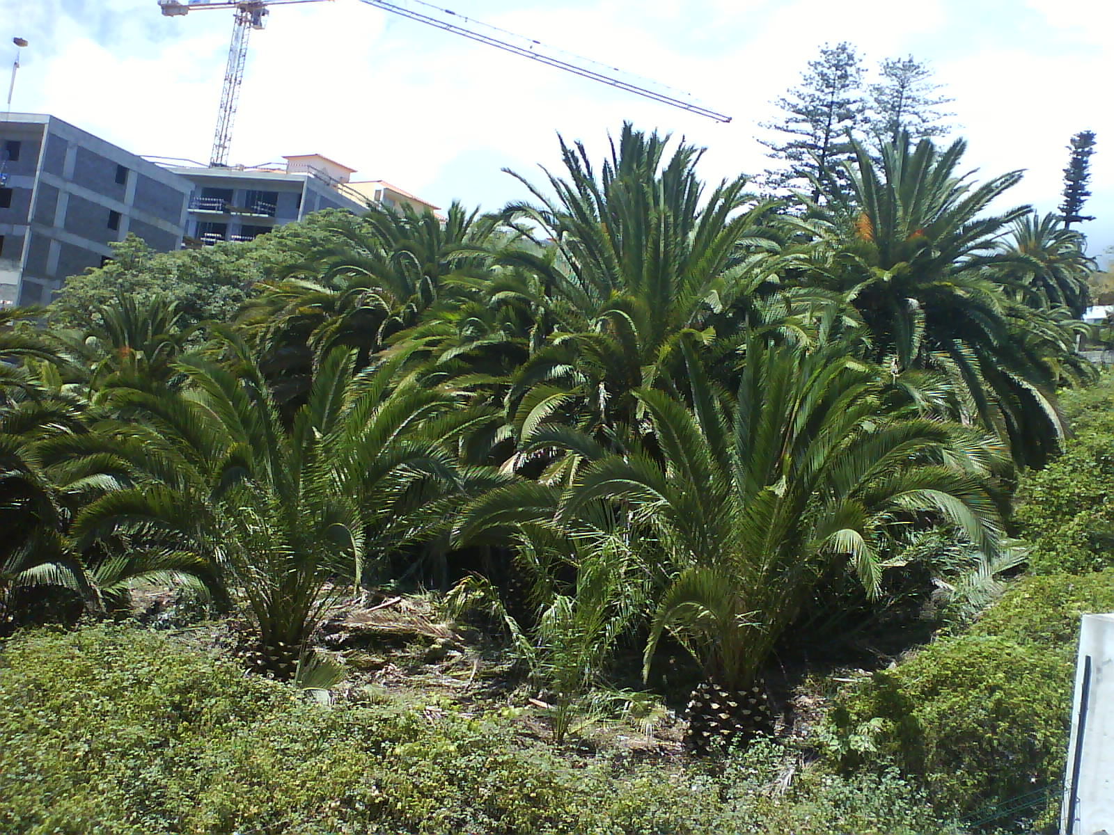 [DSC02842.JPG]