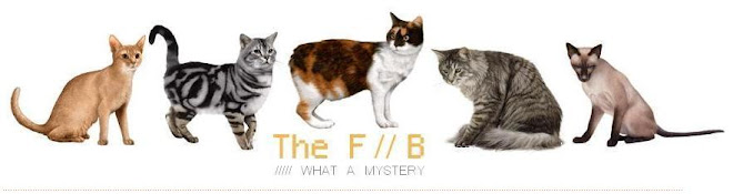 the F//B