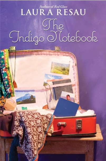 [IndigoNotebookCover.jpg]