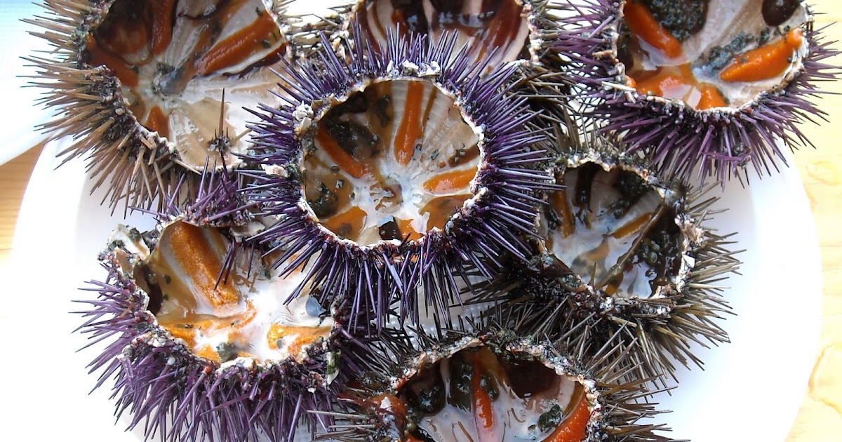 Cuisine de Provence Oursinade in Carry le Rouet Sea Urchin Festival