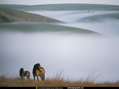 wallpapers national wallpaper national geographic. wallpapers national