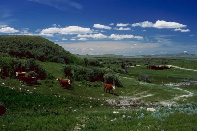 [P0300023.JPG]