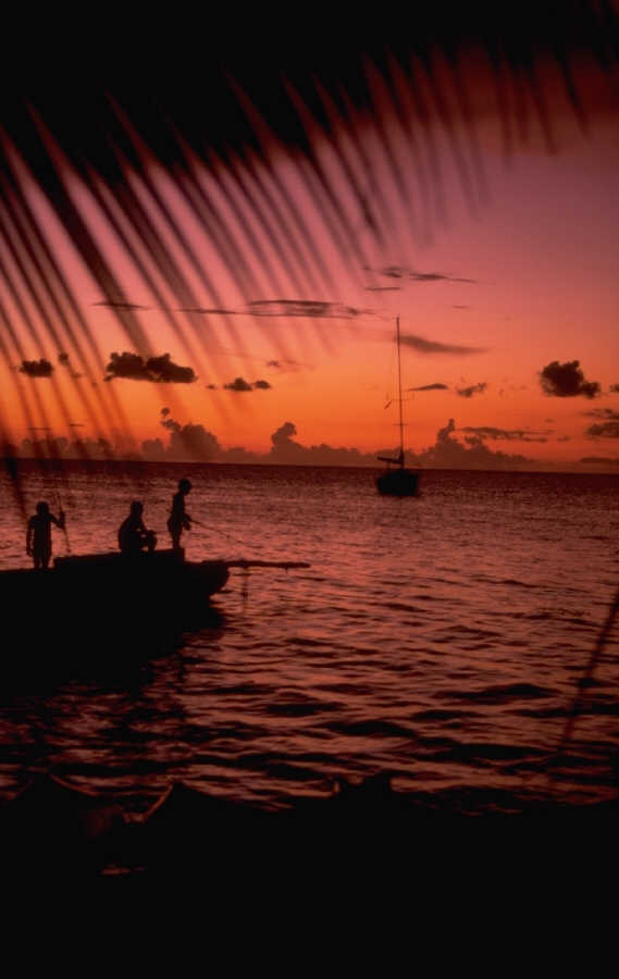 [P0103855.JPG]