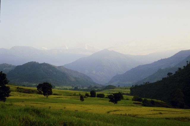 [P0302814.JPG]