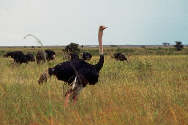 [P0300342.JPG]