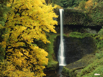 Middle North Falls, Silver Falls, Oregon.jpg