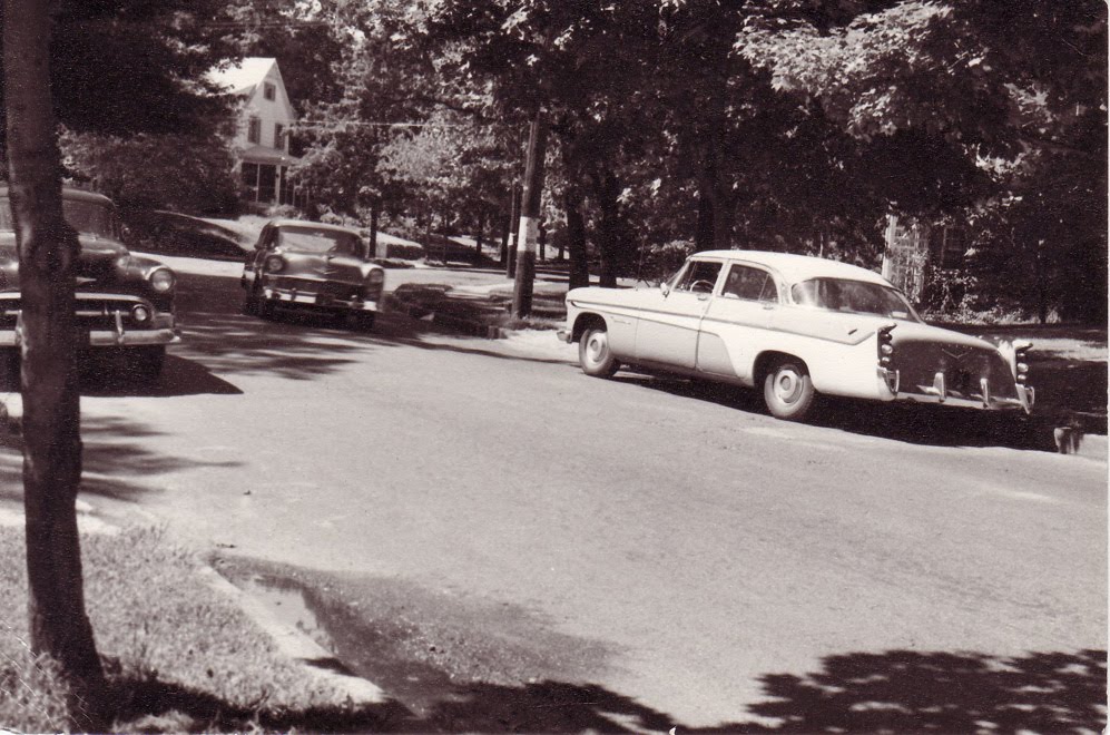 DayDreamnWorld ALPHABETHURSDAY..."W" as in WESTWOOD