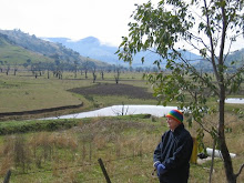 Hume Weir