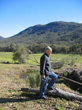 Pine Mountain