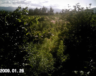 UNA VENTANA AL TURISMO Población de Luribay fue declarada “Capital del